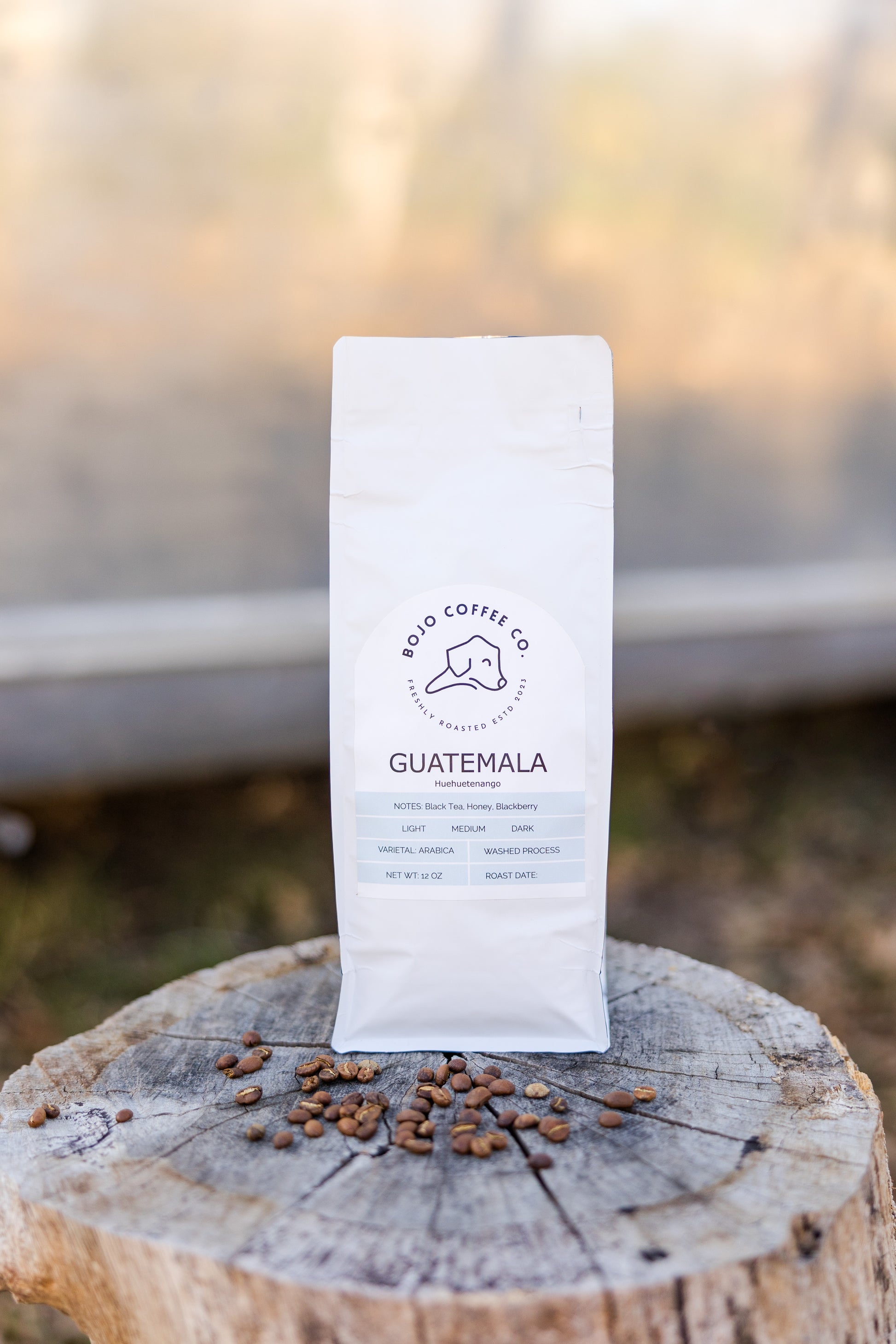 Whole Bean Guatemala Huehuetenango Coffee